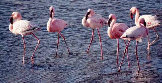 怎么拍出来照片和油画一样,拍照拍出油画质感