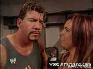 wwehhh夫妇vs隆达罗西,wwe2015年cm朋克