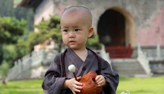 你见过佛跳墙吗,你吃过佛跳墙养生餐吗