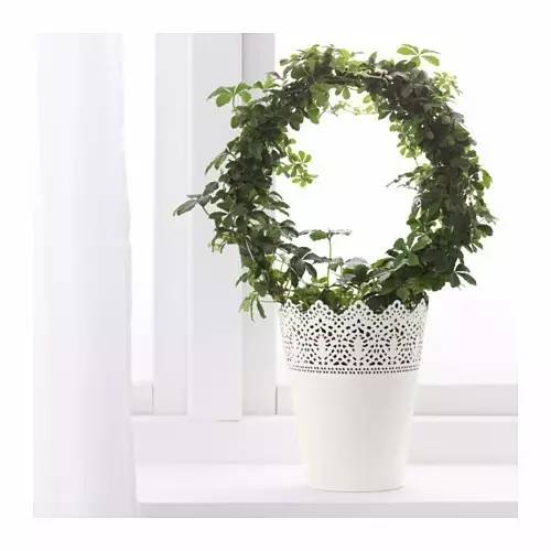 宜家千万不要买的20件东西,宜家推荐和雷区总结