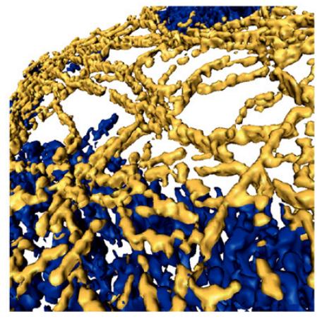 nature一周论文导读2020年8月20日,nature一周论文导读2020年6月18日