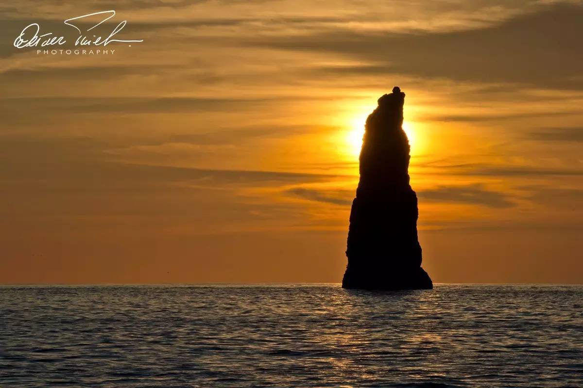 自由摄影师怎么挣钱,摄影师这行真的不挣钱吗