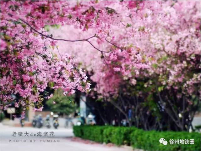 徐州这个村彻底火了，央视一天两次直播！大徐州你咋这么牛