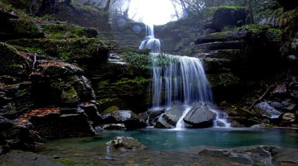 恩施森林旅游,恩施咸丰坪坝营旅游景点