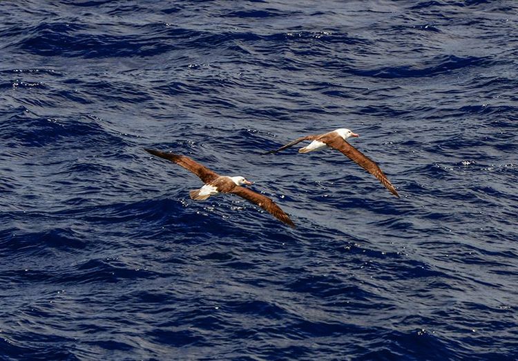 嗨哩文旅丨在世界的尽头的九个日日夜夜