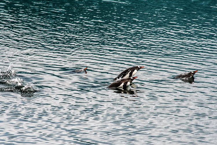 嗨哩文旅丨在世界的尽头的九个日日夜夜