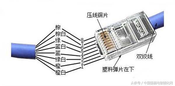 8芯网线中每根线起什么作用,8芯网线连多少根能上网