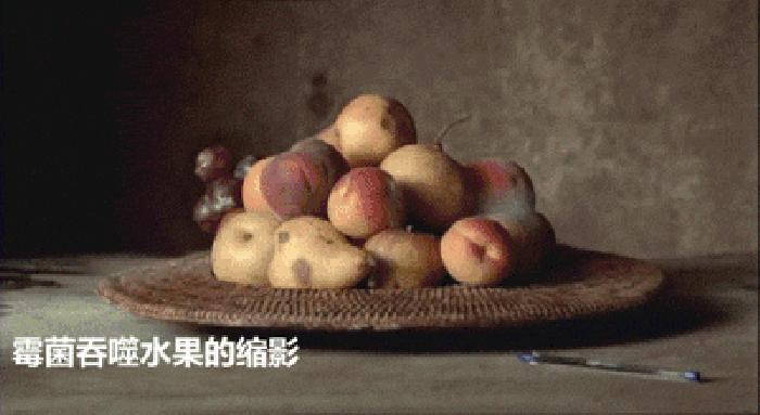 回南天是如何产生霉菌的,回南天霉菌