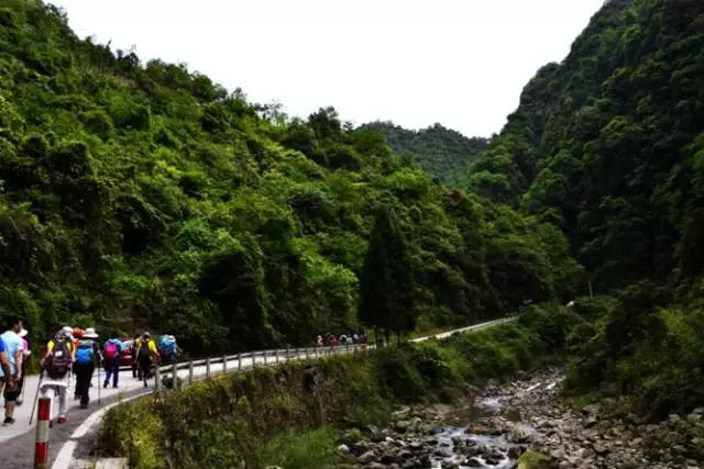 成都周边踏青二日游自驾游,春节成都看花好玩的地方推荐