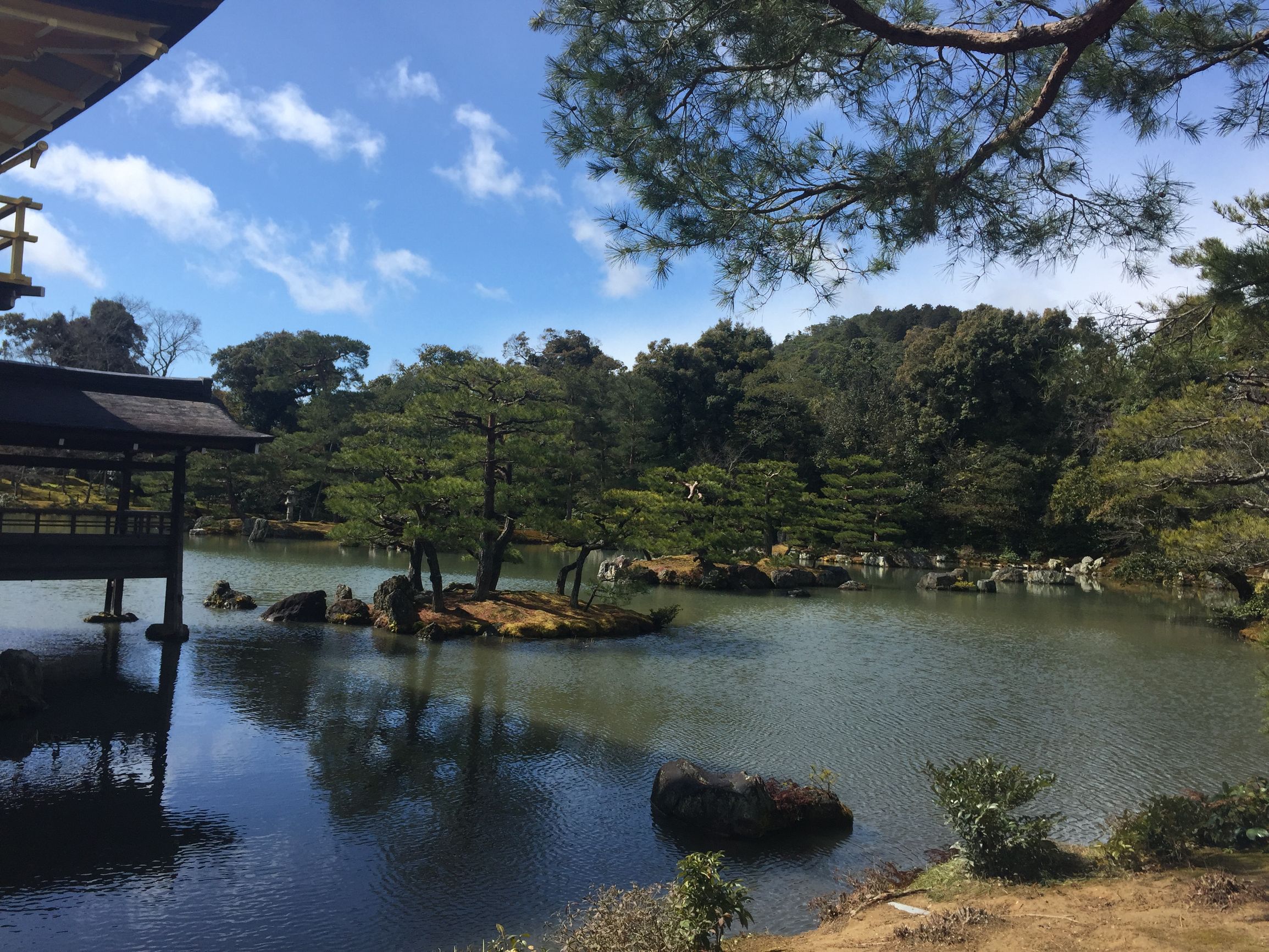 茶之道在于心静,茶是心静的良药