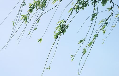 自学考试文凭有用吗,军队自学考试文凭有用吗