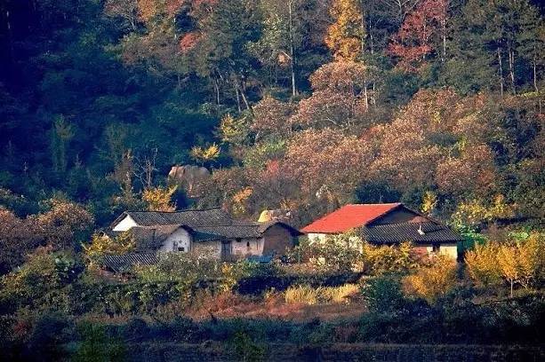 第一次来湖北教几句方言怎么说,湖北话日常聊天用语