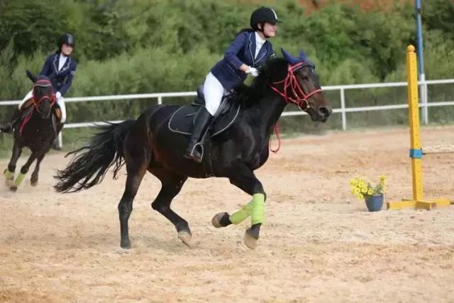 昆明二龙湖御龙马术俱乐部,贵阳市马术俱乐部