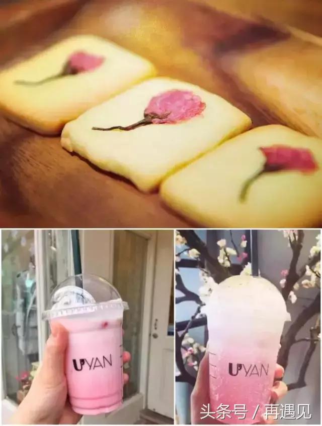 樱花季攻略,樱花季攻略赤丸