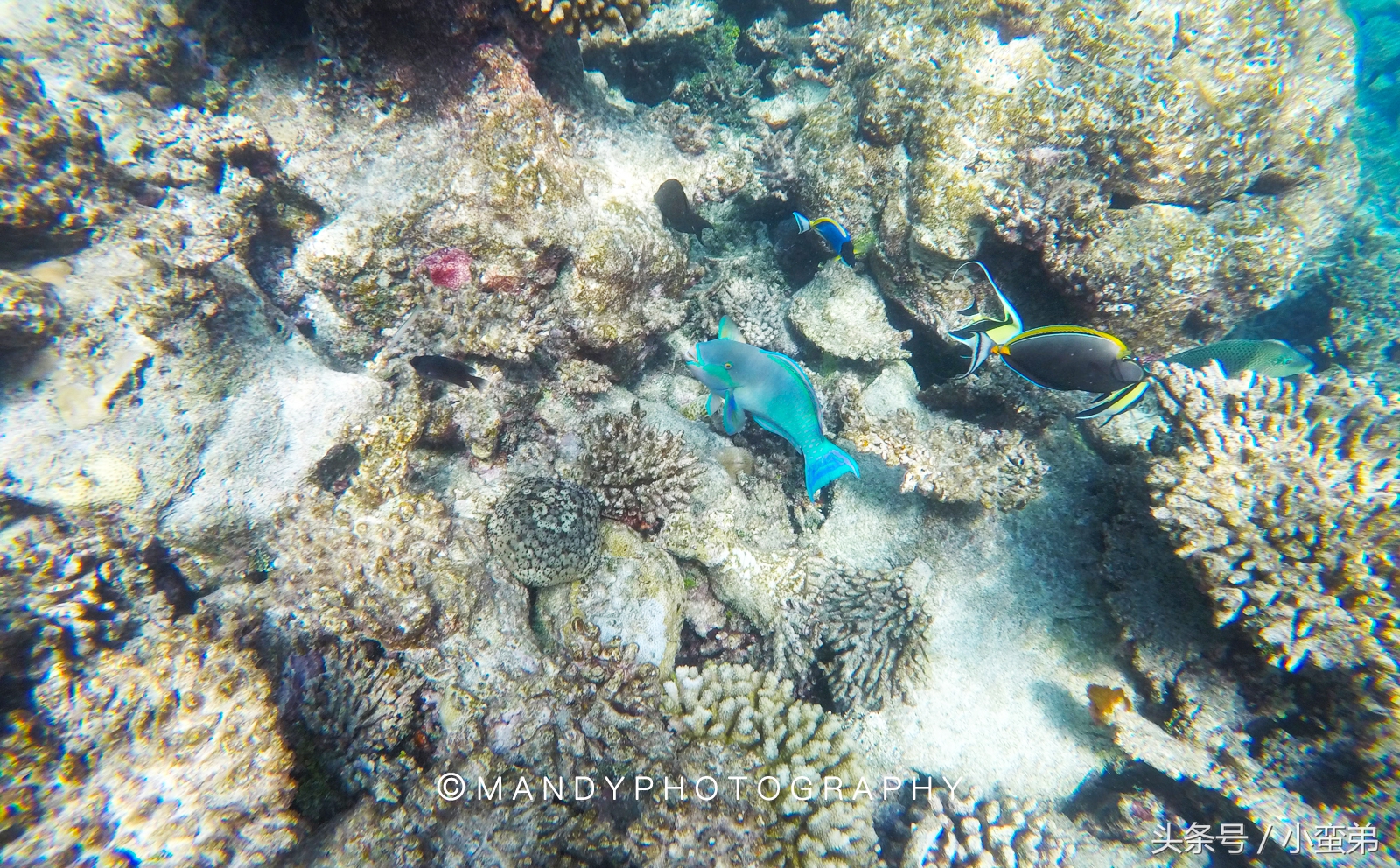 马尔代夫值得去多次吗,马尔代夫有多重要