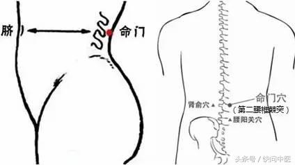 女人的美，让“艾”传递