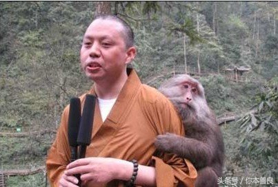 论心态我只服这个被网友封为“最萌和尚”的他