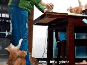 这只股票走势好，是哪支股