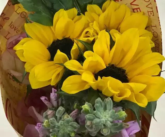 我们用1000元的教训告诉你:包月鲜花全是坑!一家都不推荐!