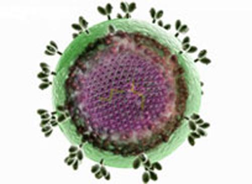 体检时癌胚抗原升高，吓得我都颓废了，这些体检指标高了怎么办？