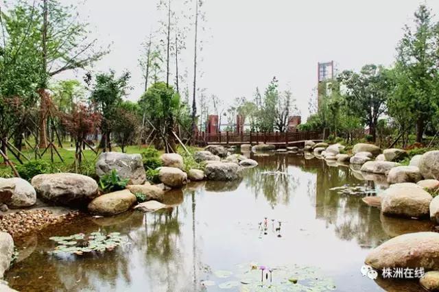 二中今年考得怎么样,二中好进吗