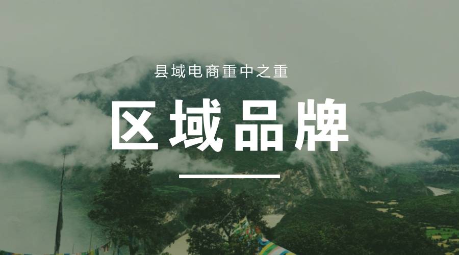 农村电商新策略有哪些内容,三农电商市场分析图