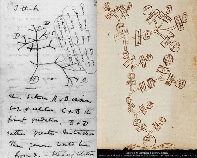 以假期为题思维导图手绘,十分钟学会手绘思维导图