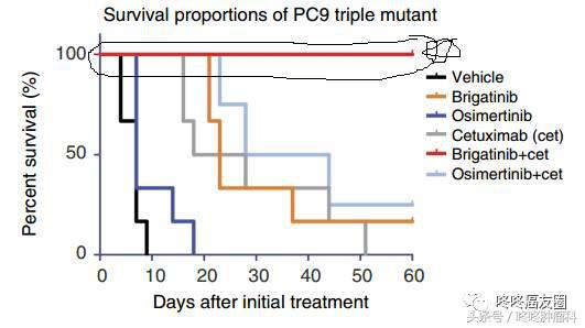 azd9291肺癌怎么治疗,老药新组合