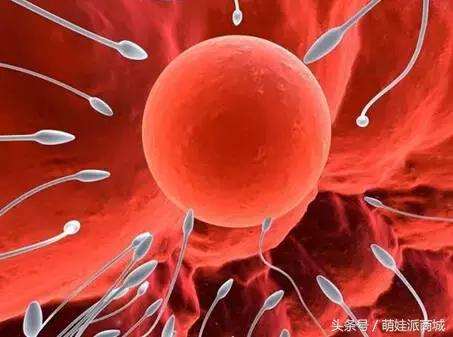 孕前调理的重要性图片,想生个宝宝孕前怎样调理