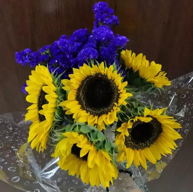 我们用1000元的教训告诉你:包月鲜花全是坑!一家都不推荐!