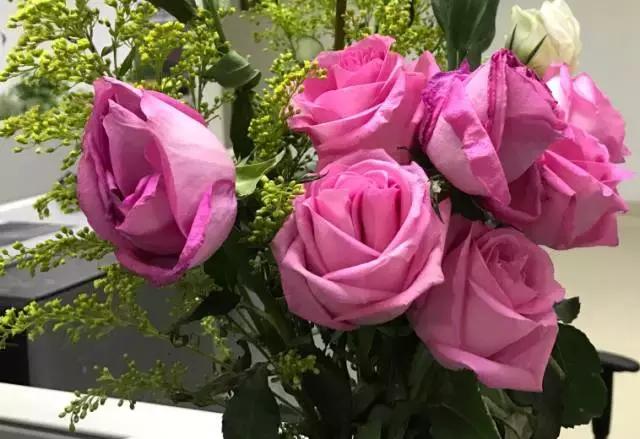 我们用1000元的教训告诉你:包月鲜花全是坑!一家都不推荐!