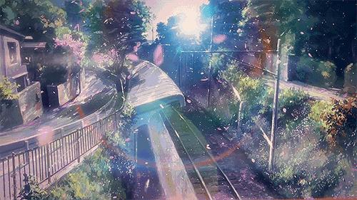 樱花季攻略完整版,樱花上海攻略