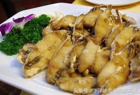 宁波海鲜餐排行榜第一名,宁波江北区海鲜排行榜前十名