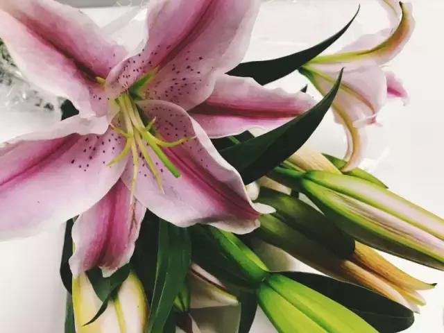 成都鲜花包月99每月4次,花费上万测评1个月