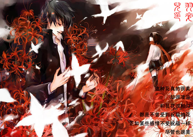 彼岸花和曼珠沙华 (彼岸之花曼珠沙华)