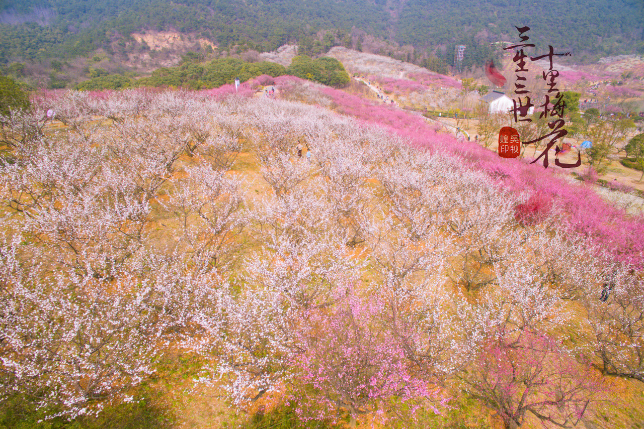 三生三世,十里梅花,遇见张家港