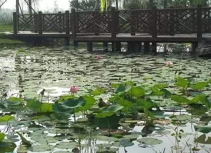 盘点北京38个森林公园,定个小目标完整版免费