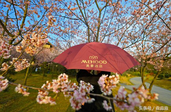 闈㈡湞澶箹鏄ユ殩鑺卞紑瑙嗛,闈㈡湞澶箹鏄ユ殩鑺卞紑