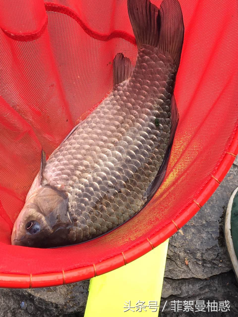 结束了钓鱼一天的疲惫,休息一天明天继续钓鱼