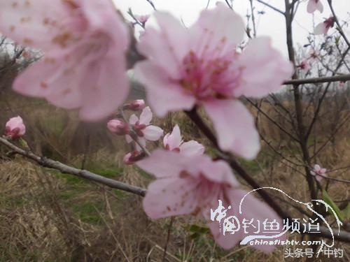 天气变化时鱼怎么不好钓,天气忽冷忽热鱼会怎么样