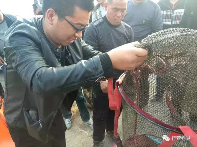 全国钓鱼大赛德州站结果,淮北钓鱼比赛直播