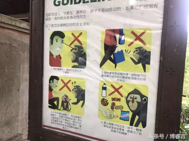 体验过你从未体验过的情感,体验你没体验过的人生