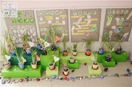 自然生态特色幼儿园,国际幼儿园自然角