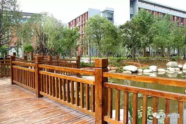 二中今年考得怎么样,二中好进吗