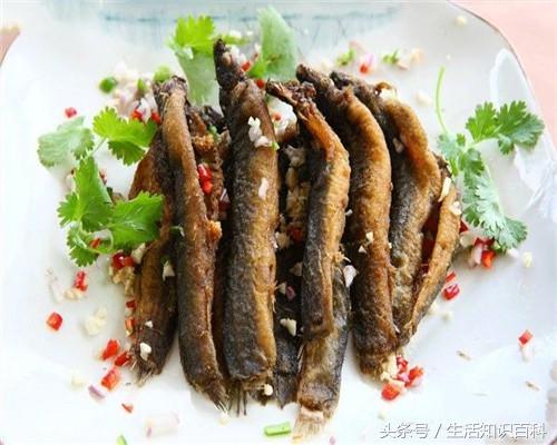 它被称为“水中之参”才20元一斤，撒上椒盐炸着吃香脆可口