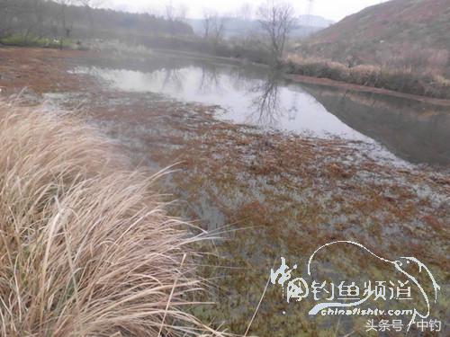 天气变化时鱼怎么不好钓,天气忽冷忽热鱼会怎么样