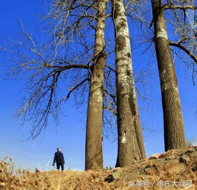 醉美滕州套餐,枣庄风景最美的景点
