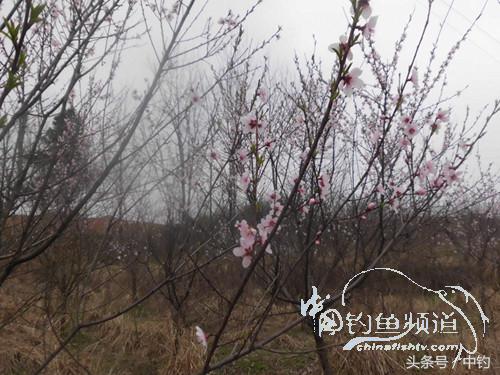 天气变化时鱼怎么不好钓,天气忽冷忽热鱼会怎么样