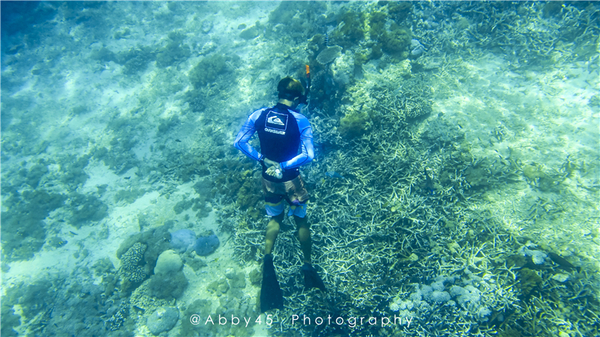 到巴厘岛的感受,到巴厘岛后怎么去蓝梦岛