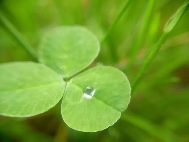 <html>
<head><title>502BadGateway</title></head>
<body>
<center><h1>502BadGateway</h1></center>
<hr><center>nginx</center>
</body>
</html>
<!--apaddingtodisableMSIEandChromefriendlyerrorpage-->
<!--apaddingtodisableMSIEandChromefriendlyerrorpage-->
<!--apaddingtodisableMSIEandChromefriendlyerrorpage-->
<!--apaddingtodisableMSIEandChromefriendlyerrorpage-->
<!--apaddingtodisableMSIEandChromefriendlyerrorpage-->
<!--apaddingtodisableMSIEandChromefriendlyerrorpage-->
